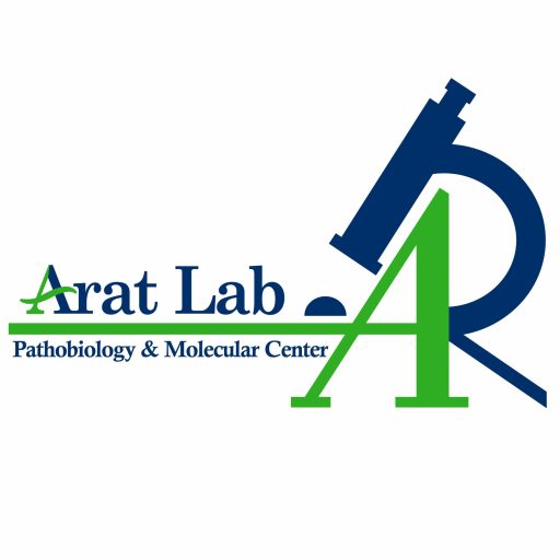 دکتر میثم مهدوی